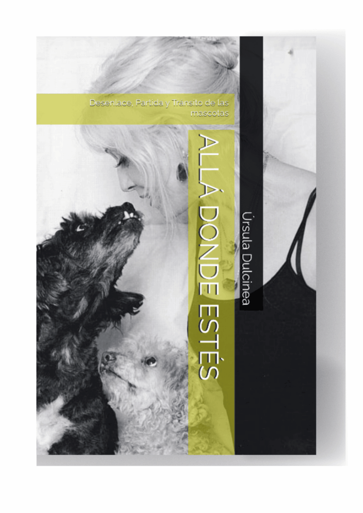 EBOOK ALLÁ DONDE ESTÉS